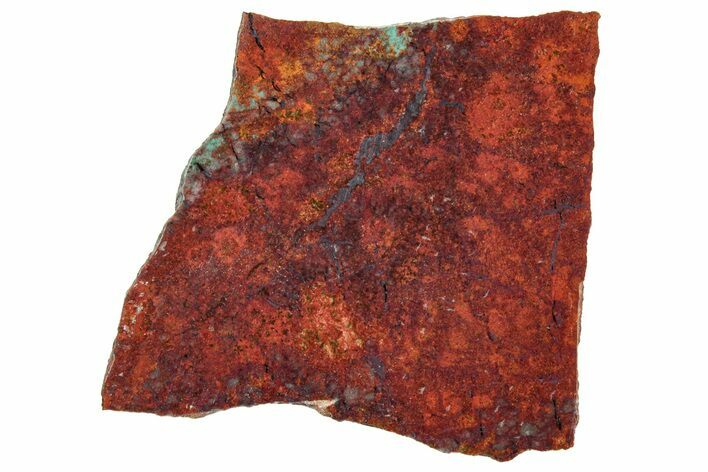 Vibrant Sonora Sunset (Chrysocolla Cuprite) Slab - Mexico #323932